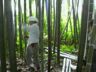 200908031032001.jpg